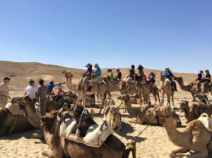 Fair Tourism