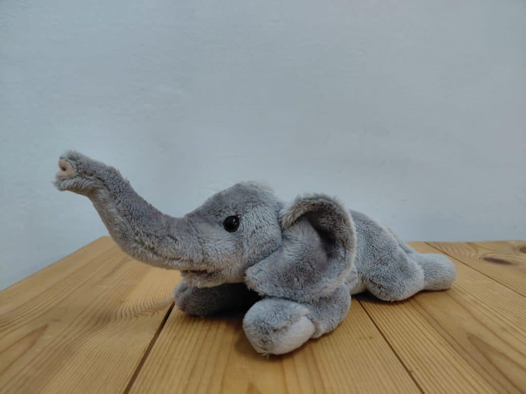 put the "elephant in the room" on the table